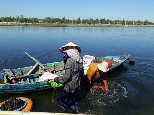 Cào don trên sông