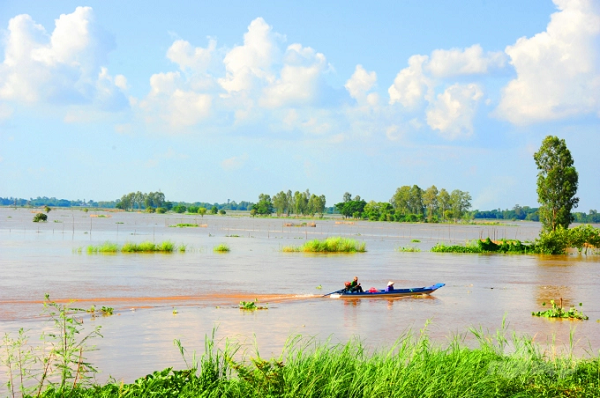 Cánh đồng xả lũ ở An Giang năm 2020 mang về phù sa cho đồng ruộng và cả nguồn lợi thủy sản phong phú. Ảnh: Lê Hoàng Vũ.