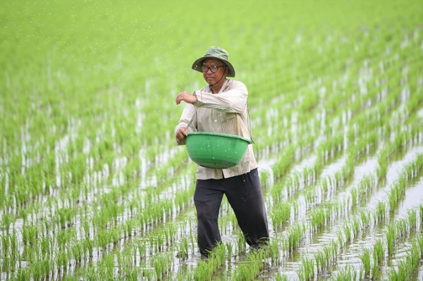 Tính đến ngày 31/8/2021, toàn dự án mới chỉ giải ngân được 52,8 tỷ đồng, đạt 5,5% vốn được giao. Ảnh: Trung Chánh.