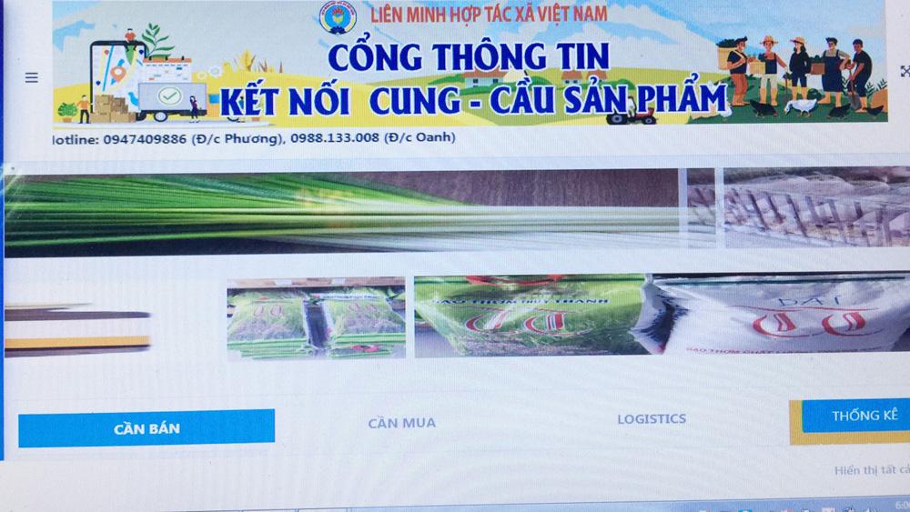 nông sản an toàn, nông sản, Bắc Giang,  Chương trình kết nối về tiêu thụ hàng hóa cho hợp tác xã