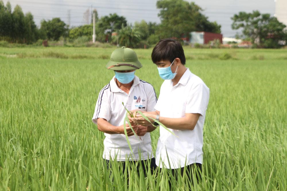 Lạng Giang, Ứng dụng công nghệ cao, xây dựng nông nghiệp, sản phẩm nông nghiệp tiêu biểu, nông nghiệp tiêu biểu bắc giang