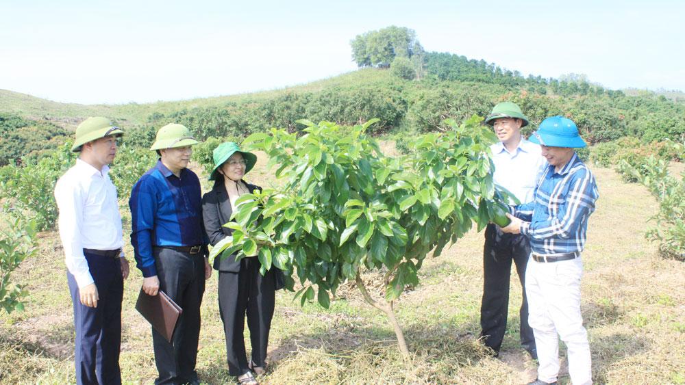 Bắc Giang, Khoa học và Công nghệ,  Nguyễn Thanh Bình