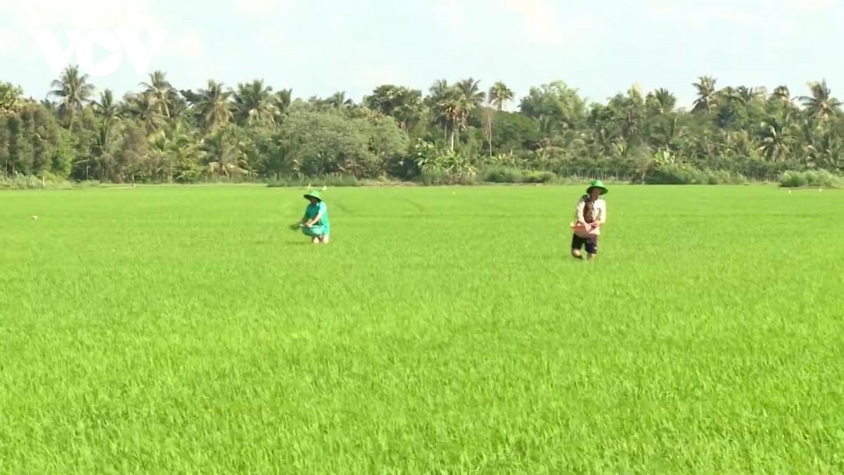 Nông dân ĐBSCL mong muốn các bộ ngành và các địa phương phối hợp thực hiện tốt Thông tư liên tịch số 10.2015.TTLT.