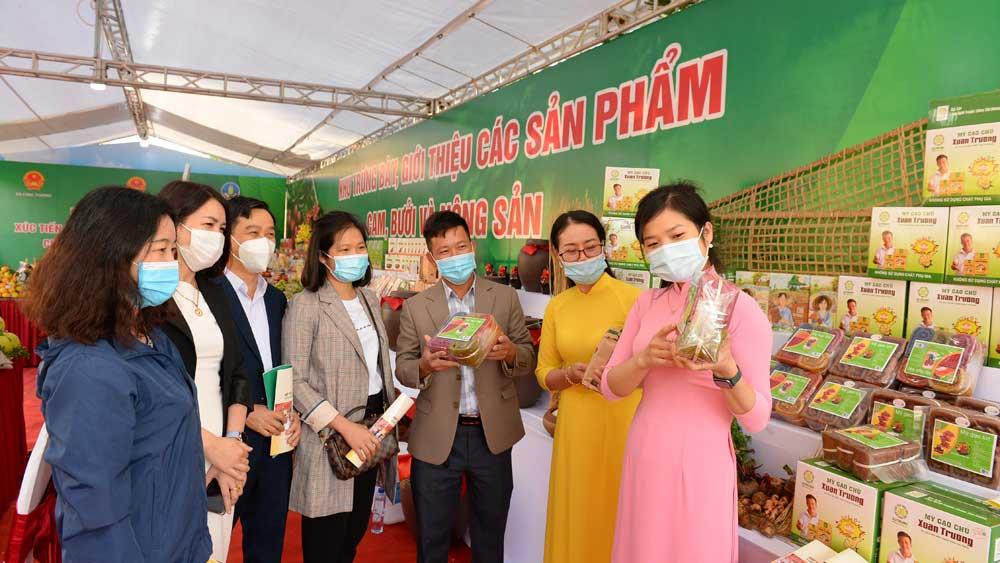 Bắc Giang, nông sản, tiêu thụ sản phẩm, cam, bưởi, Lục Ngạn