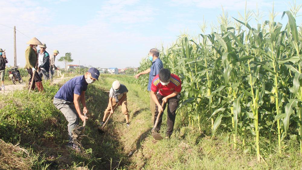 Bắc Giang, thủy lợi nội đồng, kênh, mương nội đồng, sản xuất nông nghiệp