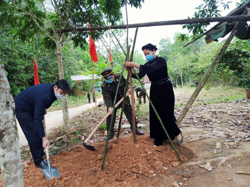 kiểm lâm, chương trình trồng 1 tỷ cây xanh, 1 tỷ cây xanh, trồng rừng, cây phân tán, lâm nghiệp