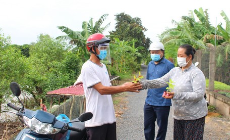 Khách đến mua cây giống tại vườn hoa của bà Nhung.