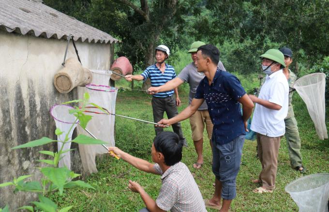 Người đi săn ong tranh nhau bắt 'ong thăm'. Bắt ong thăm nếu cư xử không đúng mực, sẽ xảy ra cãi vã, mâu thuẫn. Ảnh: Huy Thư.