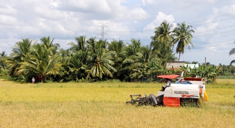 Năm 2021, ngành nông nghiệp vẫn giữ mức tăng trưởng ổn định.