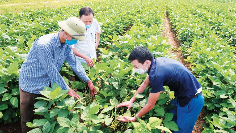 Bắc Giang, vùng nguyên liệu, chế biến, nông sản, sản xuất