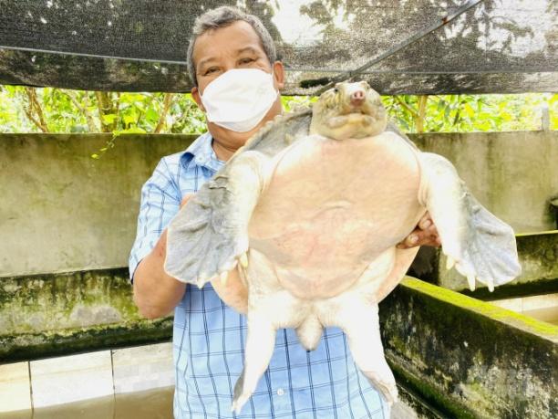 Ông Nguyễn Văn Thanh bên con cua đinh bố mẹ nặng gần 10kg. Ảnh: Lê Hoàng Vũ.