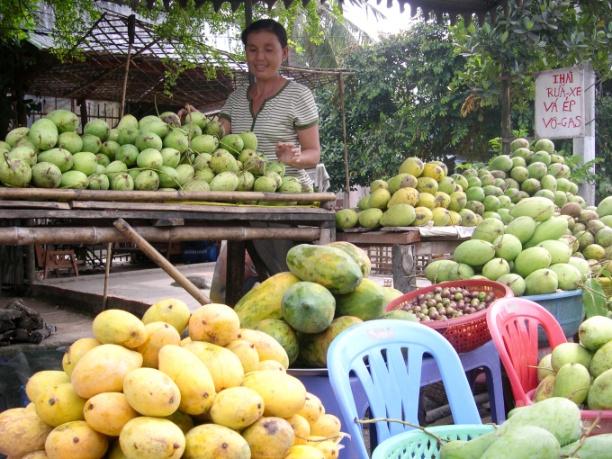 Hiện nay ĐBSCL đang vào mùa xoài rộ nên các loại xoài ăn chín cũng giảm giá từ 20 - 30% so với 1 tháng trước. Ảnh: Lê Hoàng Vũ.