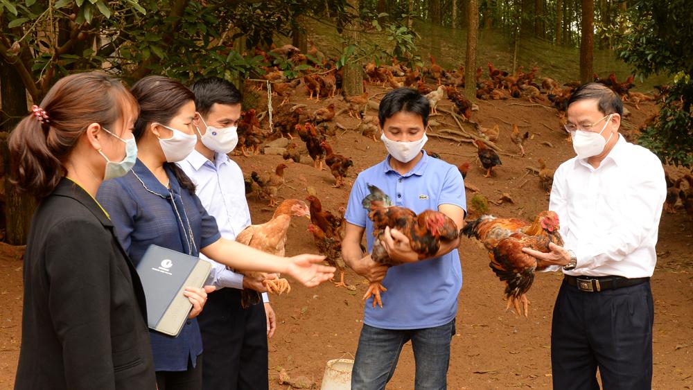 Bắc Giang,  đa dạng, kênh tiêu thụ, tăng hiệu quả, sản xuất