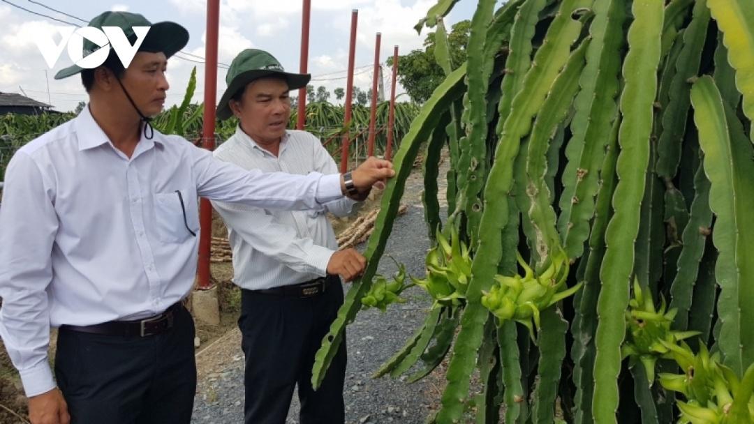 Chỉ cần nhà vườn tuân thủ nghiêm quy trình theo chuẩn VietGAP hay GlbalGAP là có thể bán được hàng, xuất được sang thị trường khó tính.