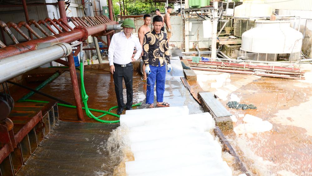 Dịch vụ, phụ trợ, đón, mùa vải thiều, sản lượng, dịch vụ