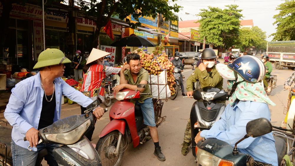 Lục Ngạn, vải thiều, thương nhân, thu mua vải