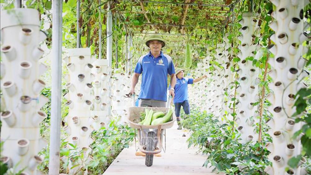 Bắc Giang, nâng cao, giá trị sản xuất, ngành nông nghiệp