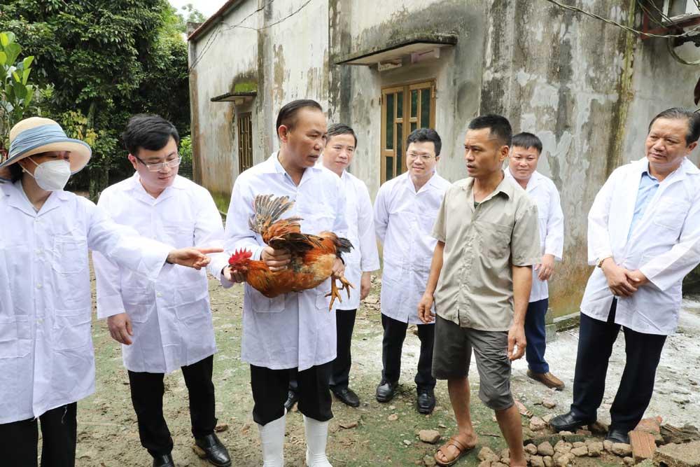 Phùng Đức Tiến, Bắc Giang, nông nghiệp, chăn nuôi, thủy sản.