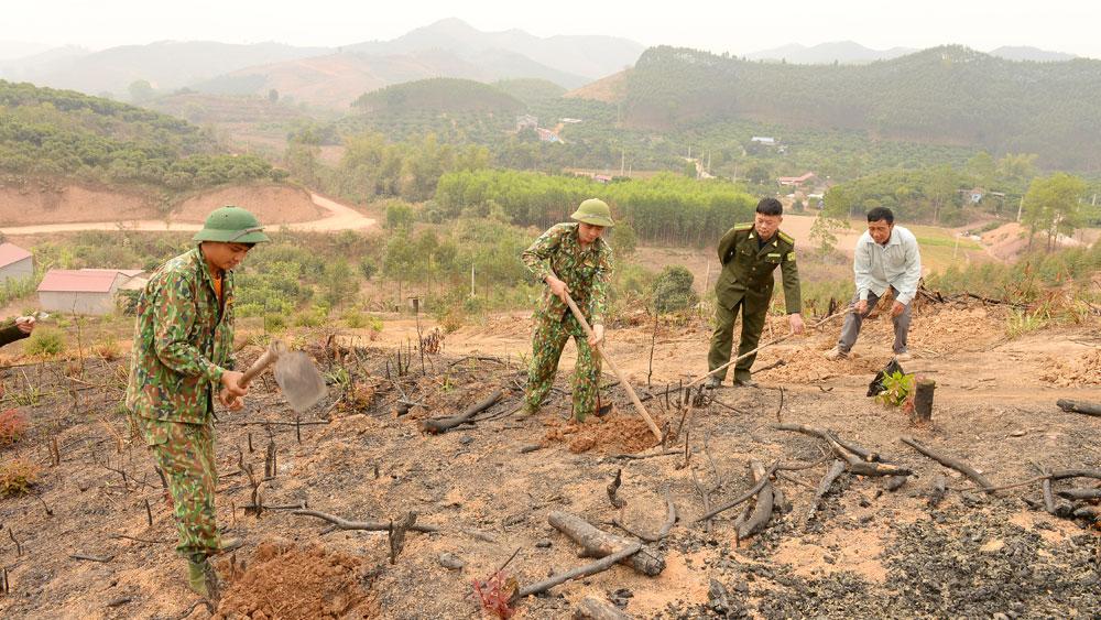 Bắc Giang, lâm nghiệp, trồng rừng, cây phân tán, kiểm lâm