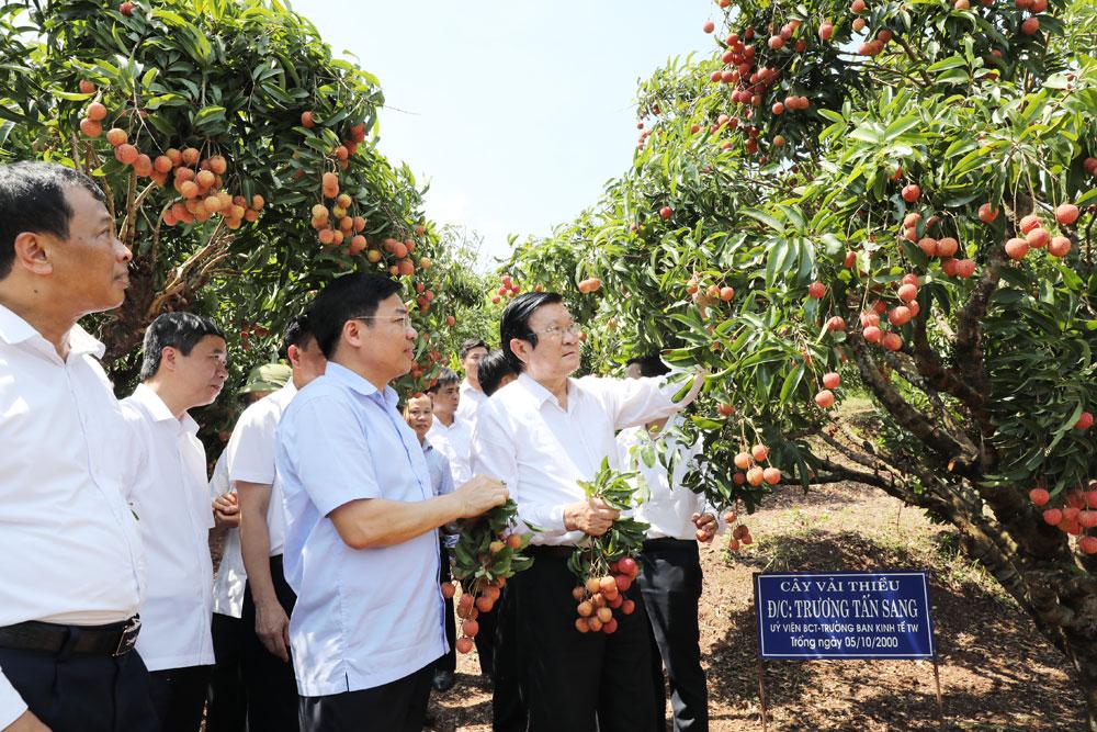 Bắc Giang, Lục Ngạn, Bắc Giang, Trương Tấn Sang