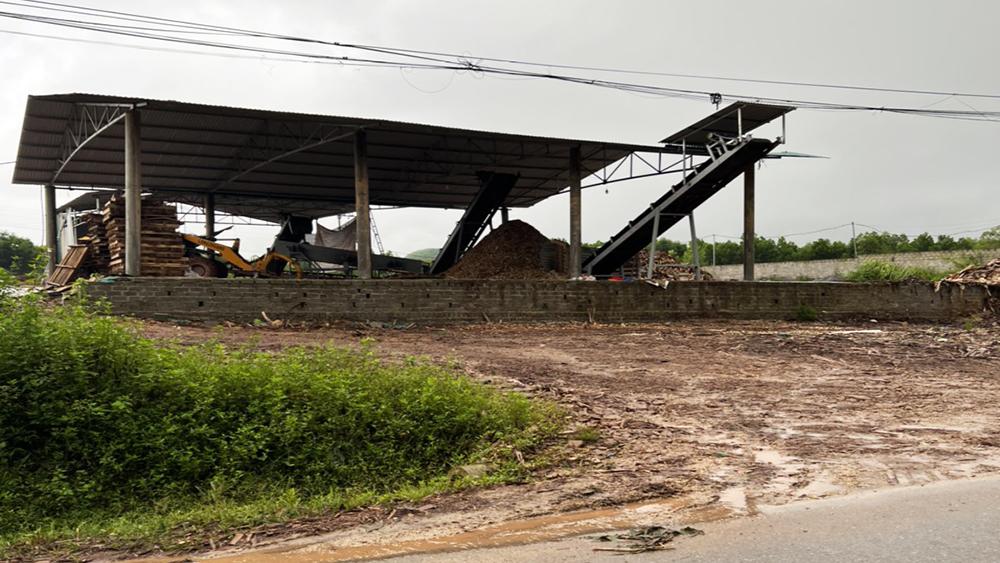 Sơn Động, đất đai, vi phạm