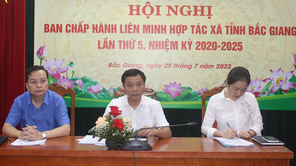 Liên minh hợp tác xã; Bắc Giang; ban chấp hành, kiện toàn, kinh tế tập thể.