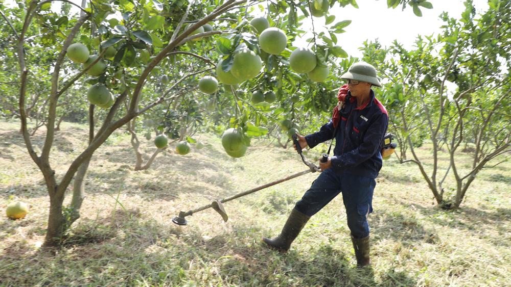 Bắc Giang, Đào tạo nghề,  lao động, nông thôn,  Cần sát nhu cầu, bảo đảm