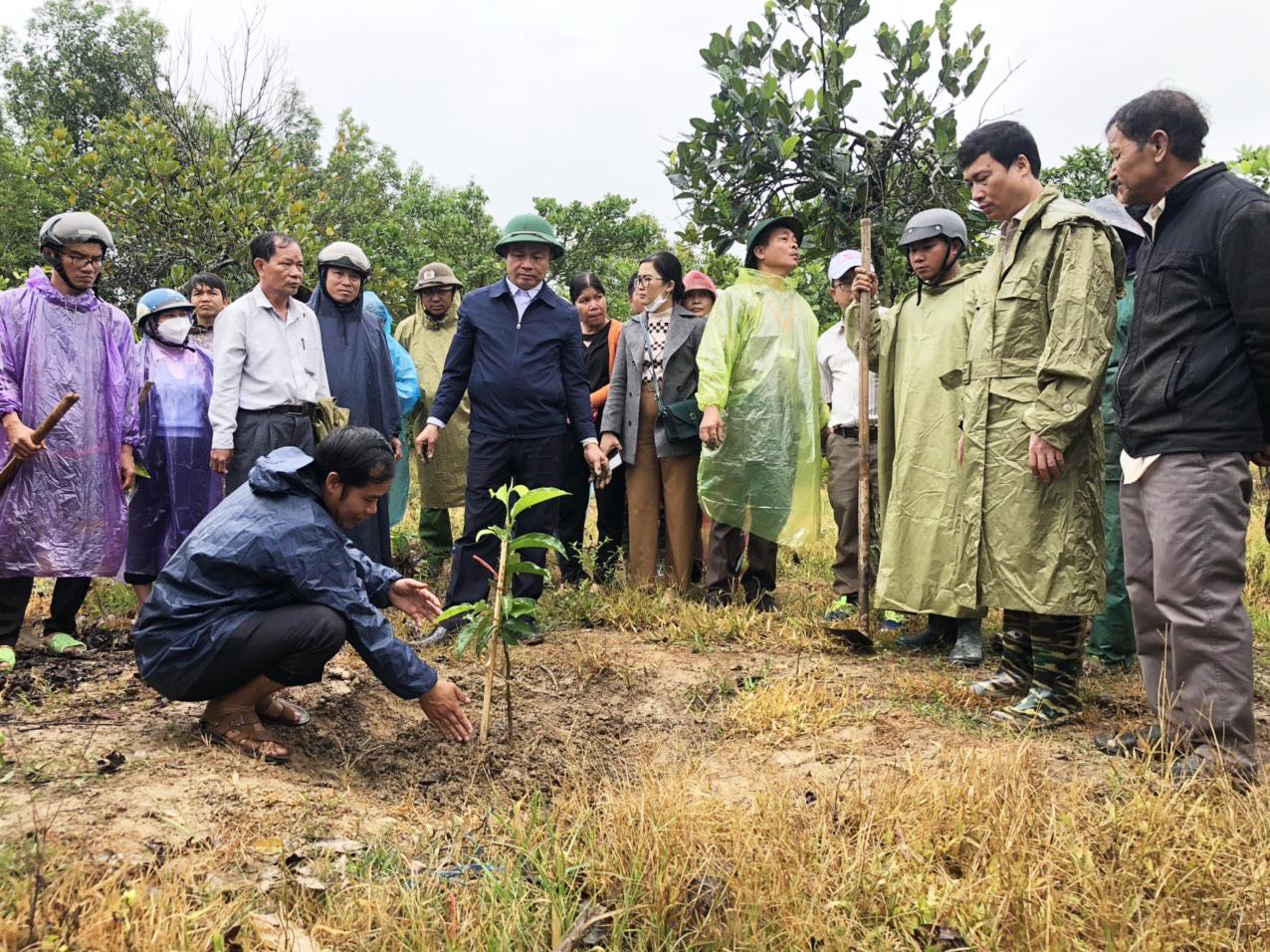 Cán bộ khuyến nông hướng dẫn kỹ thuật trồng dổi.