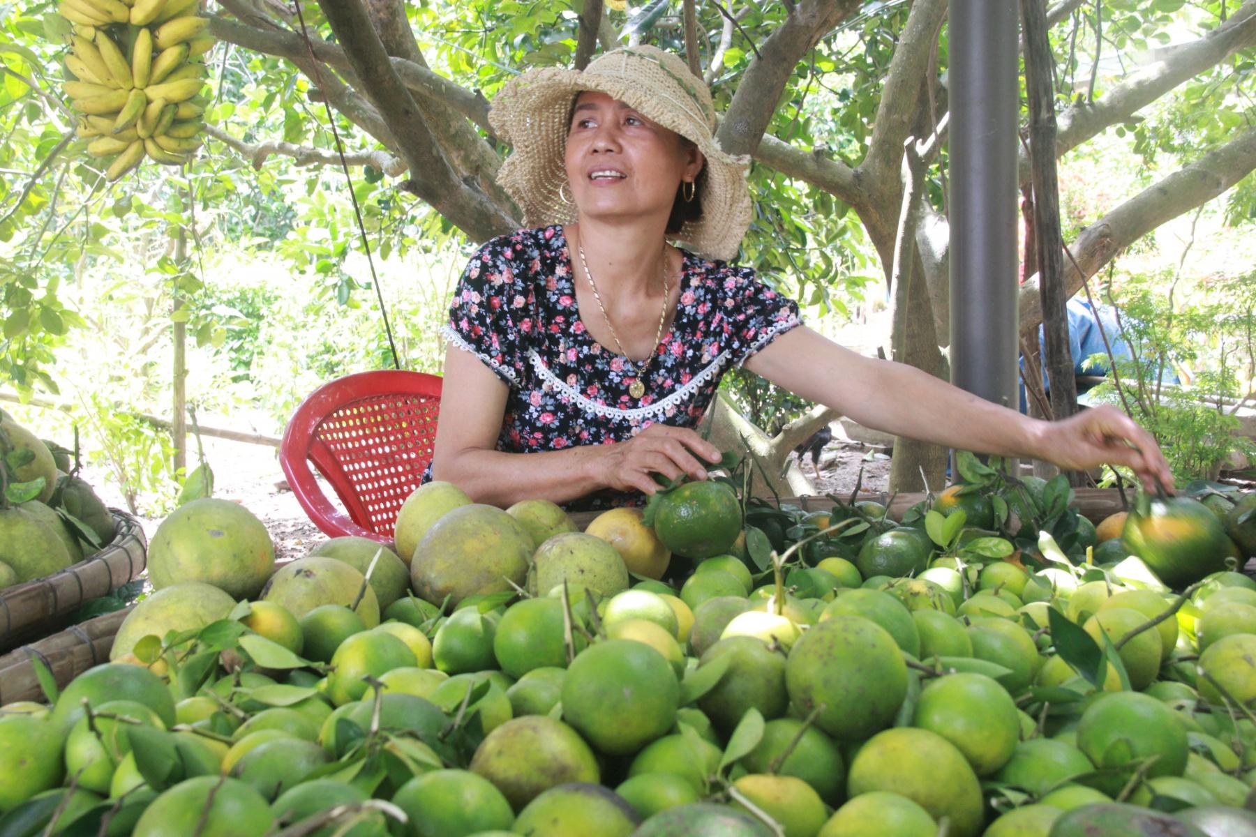 Trái trụ (cùng dòng với bưởi) là trái cây đặc hữu của làng Đại Bình với vị ngọt thanh, trái nhỏ