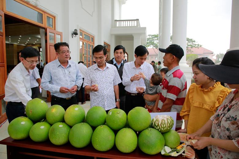 Sản phẩm của Hợp tác xã Bưởi da xanh Đinh Trang Thượng tại Hội nghị Đối thoại doanh nghiệp huyện Di Linh ngày 4/8/2022