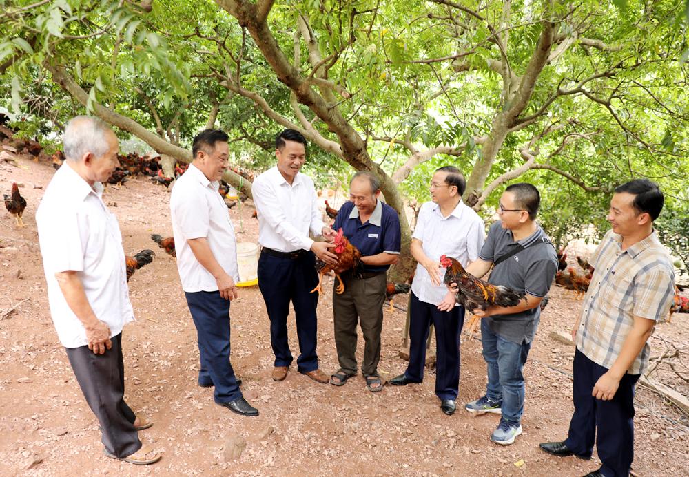 Bắc Giang, Nông dân, phát triển, kinh tế