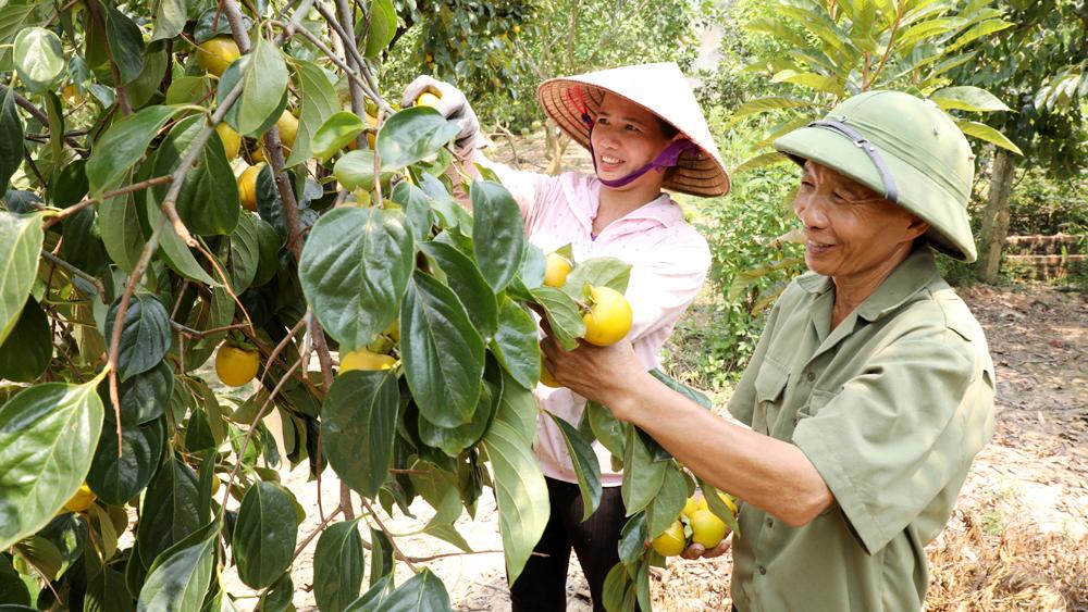 Bắc Giang, Nông dân, phát triển, kinh tế