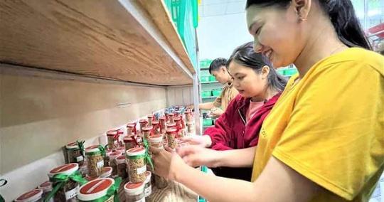 Ngân hàng giống lúa ở ĐBSCL - Ảnh 2.