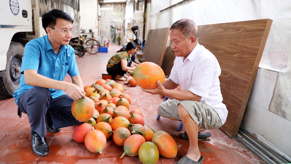 Bắc Giang, Tạo đột phá, phát triển, sản phẩm OCOP