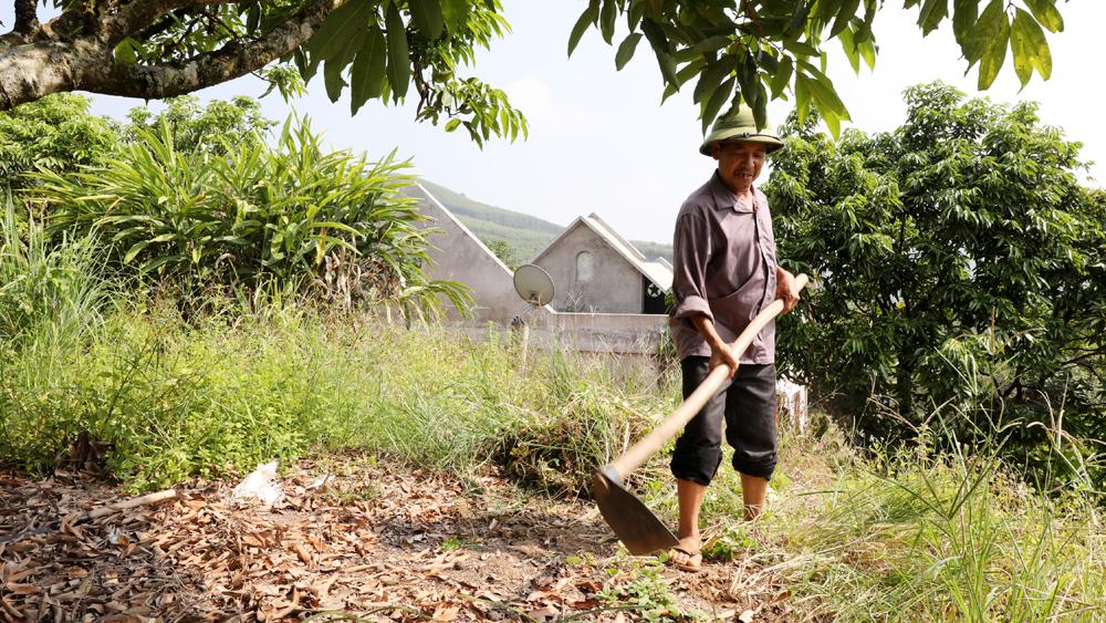 Bắc Giang, Hướng dẫn, chăm sóc, vải thiều