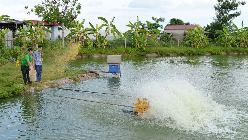 Thủy sản, cá giống, cá thương phẩm, Bắc Giang