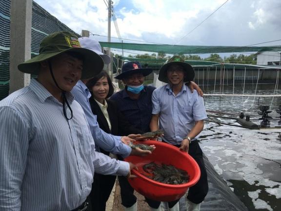 Bến Tre bàn giải pháp phát triển vùng nuôi tôm ứng dụng công nghệ cao - Ảnh 2.