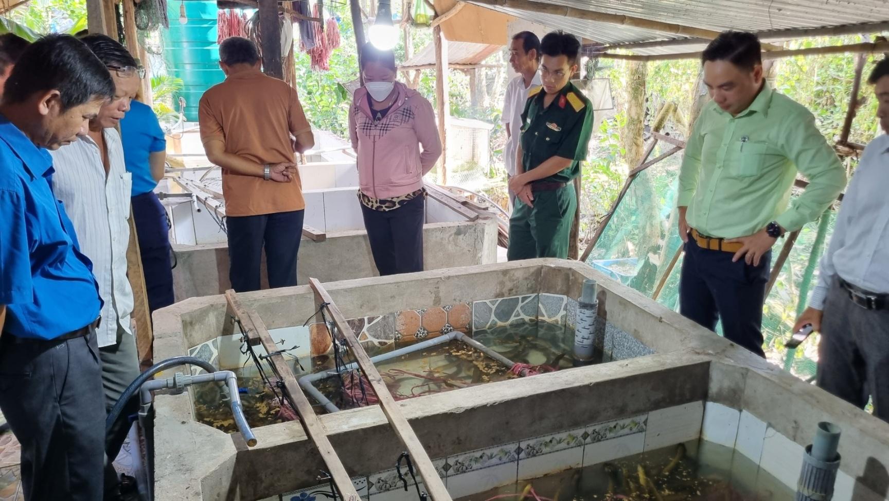 Mô hình mở ra hướng mới cho kinh tế hộ tại địa phương. Ảnh: Diễm Trang.