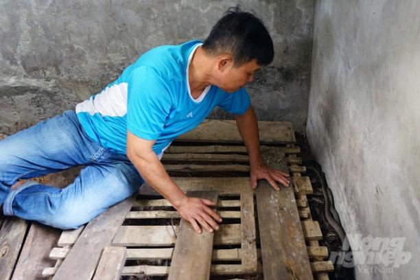 Chuồng nuôi rắn phải thoáng mát vào mùa hè, khô ráo, ấm áp về mùa đông, được lót tre, gỗ thành các hang hốc nhân tạo. Ảnh: Võ Dũng.