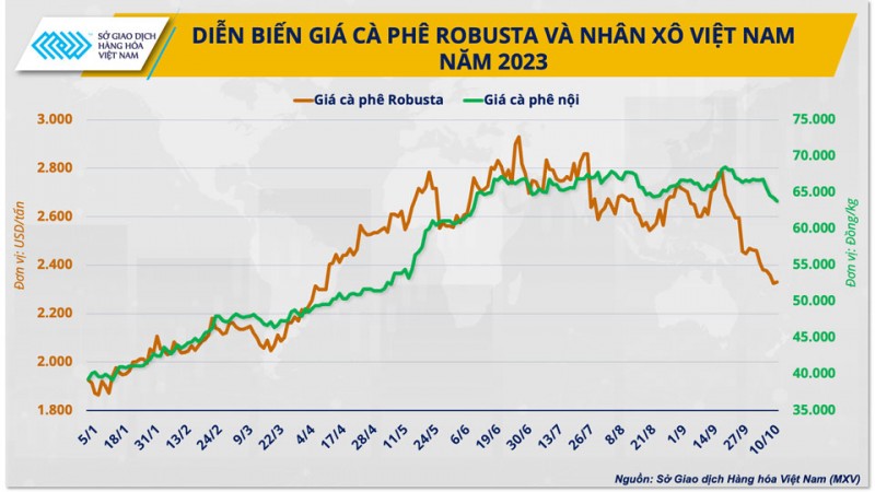 ‘Cơn sốt’ Robusta hạ nhiệt, mục tiêu vượt 4 tỷ USD gặp trở ngại