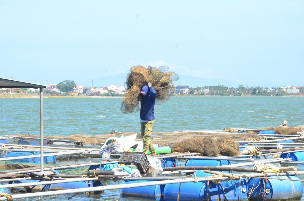 Công tác bảo vệ và phát triển nguồn lợi thủy sản bền vững, cần có sự chung sức của các nhà khoa học, nhà quản lý cũng như cộng đồng ngư dân (Ảnh Đ.Minh)