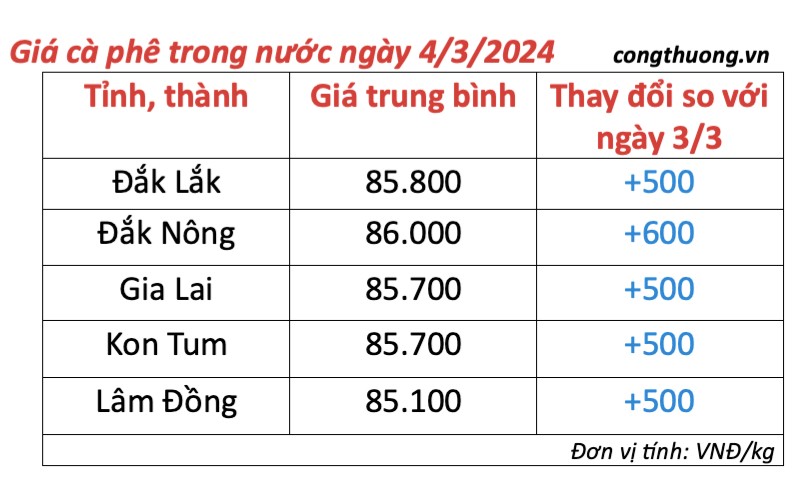 Giá cà phê hôm nay, 4/3/2024: Giá cà phê trong nước