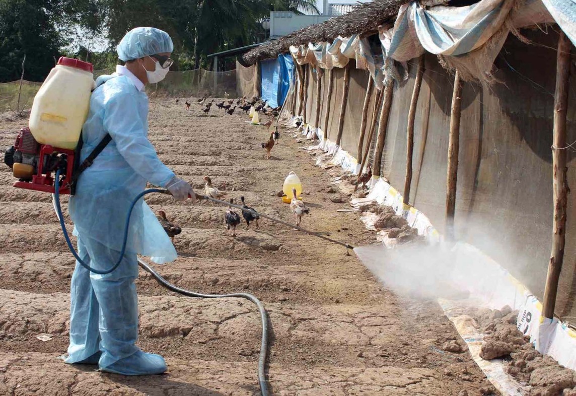 Bộ Y tế thông tin về trường hợp mắc Cúm A(H5N1) tại Khánh Hòa