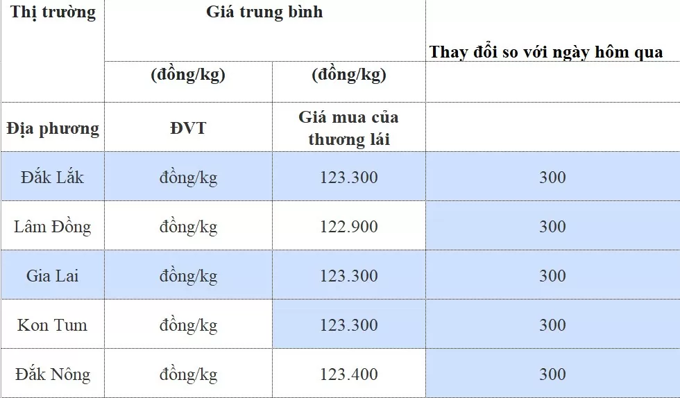 Giá cà phê hôm nay 5/8/2024: Giá cà phê trong nước neo ở mức cao