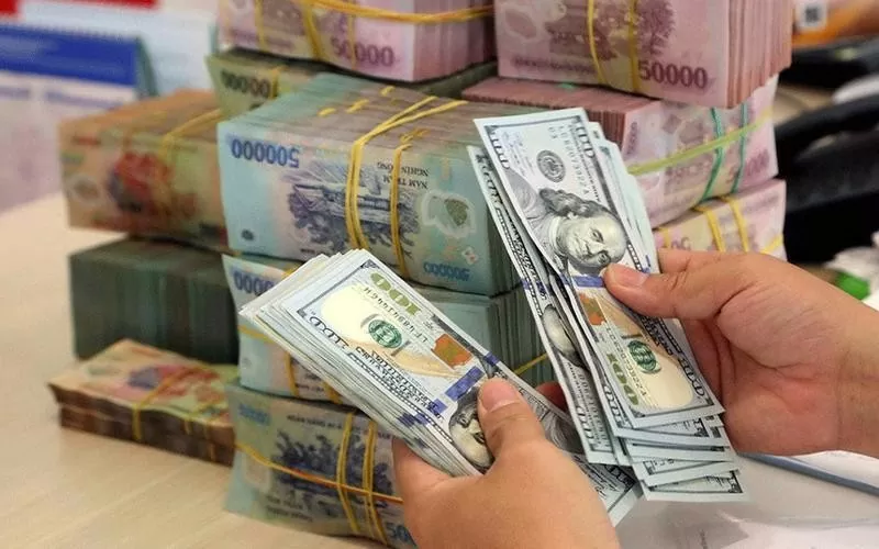 Tỷ giá USD hôm nay 12/8/2024: USD khó có thể tăng trong bối cảnh hiện tại?