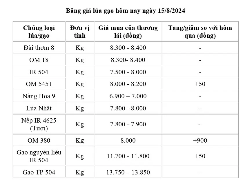 Giá lúa gạo hôm nay ngày 15/8/2024: