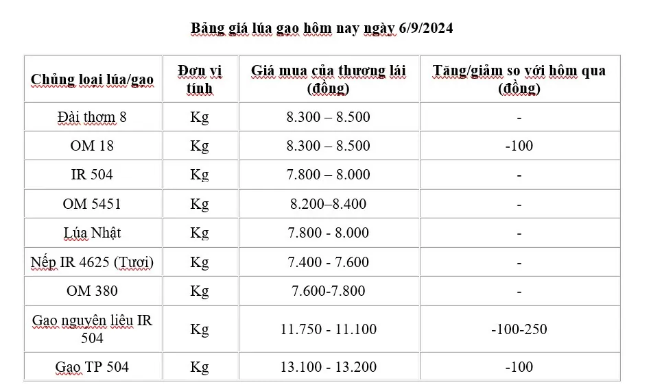 Giá lúa gạo hôm nay 6/9/2024: Giá gạo giảm từ 200 - 250 đồng/kg;