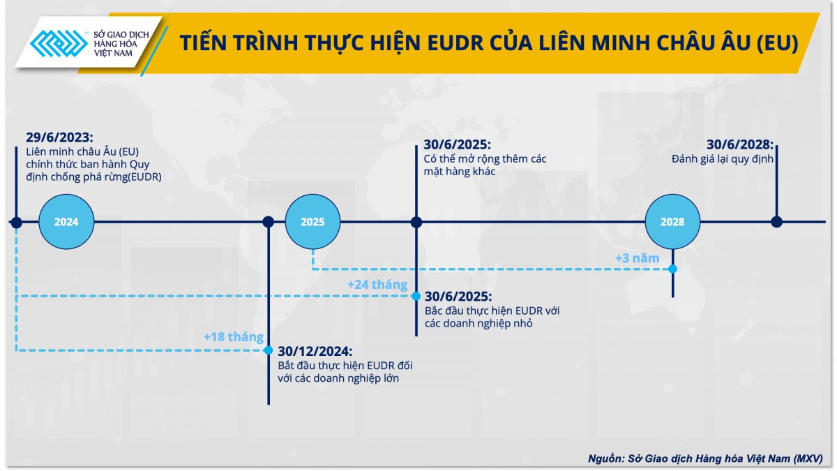 Tiến trình thực hiện thực hiện EUDR của EU