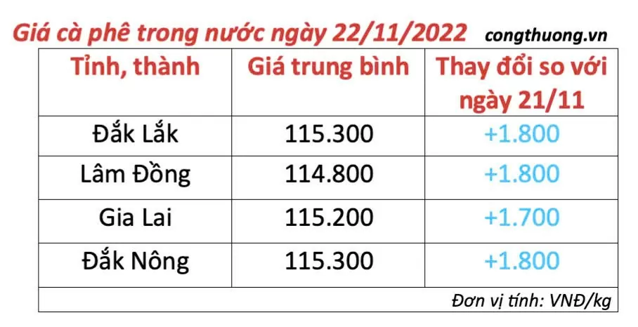 Giá cà phê hôm nay 22/11/2024: Giá cà phê trong nước tăng mạnh