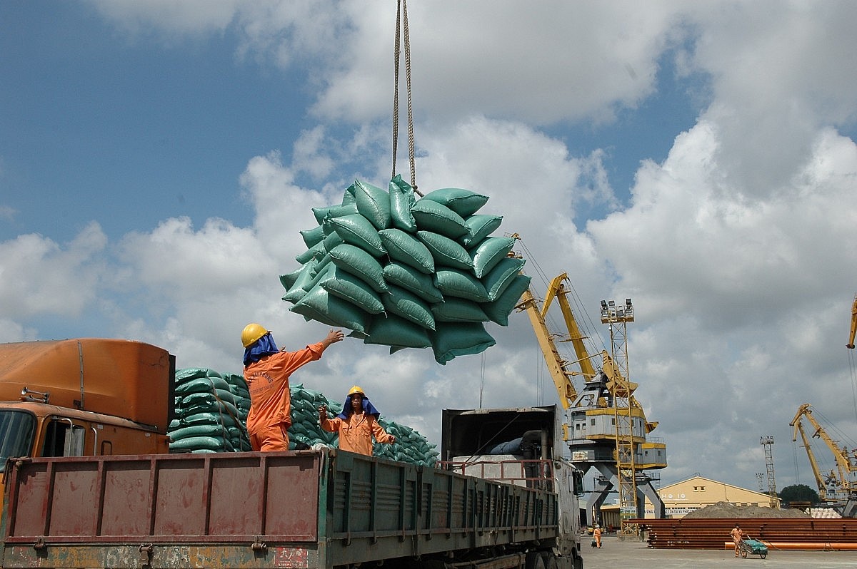 Bộ Công Thương tìm cơ hội gia tăng xuất khẩu gạo sang Trung Quốc